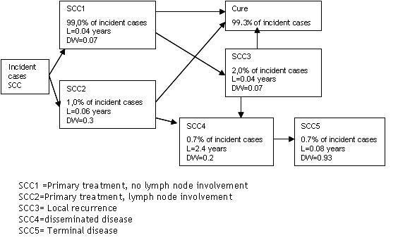 SCC disease model iehias.JPG