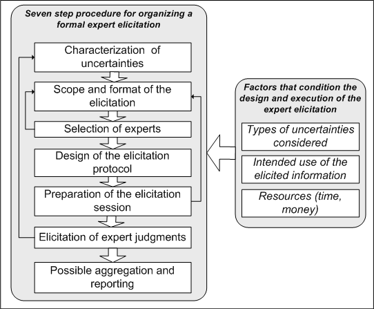 Expert elicitation protocol steps.png