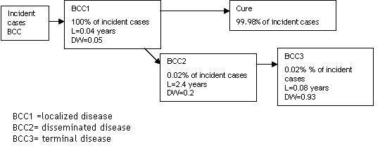 BCC disease model iehias.JPG
